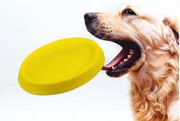 Durable Dog Throwing Toy