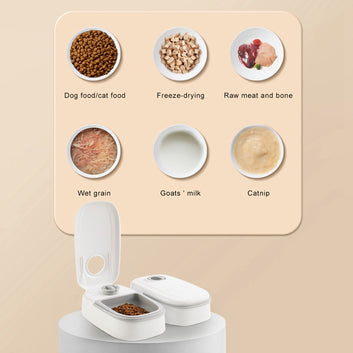 Automatic Pet Feeder with Stainless Steel Bowl