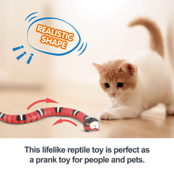 Smart Interactive Snake Cat Toy